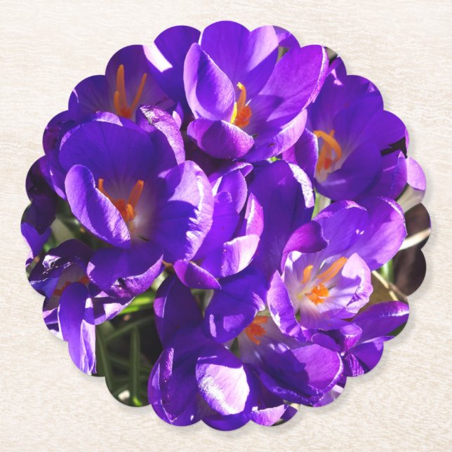POSAVASOS DE PAPEL CROCUS DE PRIMAVERA (Anverso)