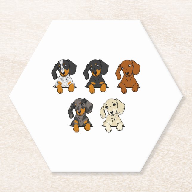 Posavasos De Papel Dachshund     (Anverso)