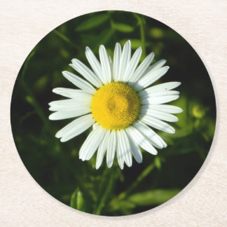 Posavasos de papel Daisy Delight