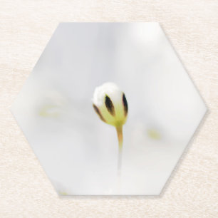 Posavasos de papel de capullo de flor blanca elega