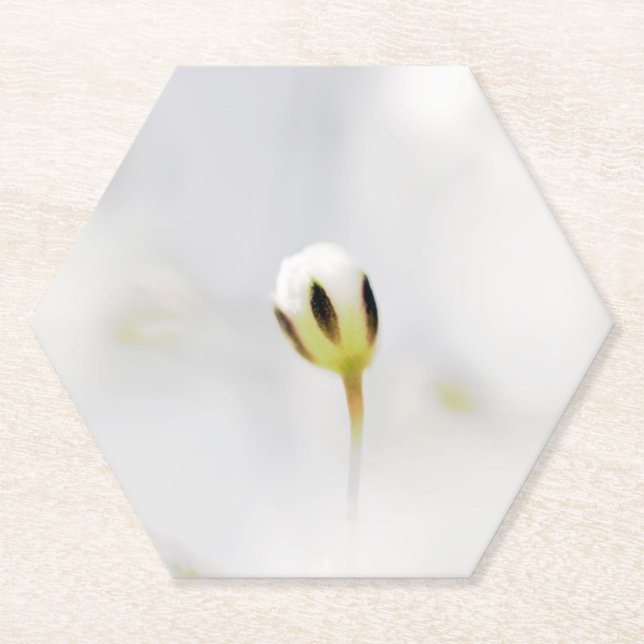 Posavasos de papel de capullo de flor blanca elega (Anverso)