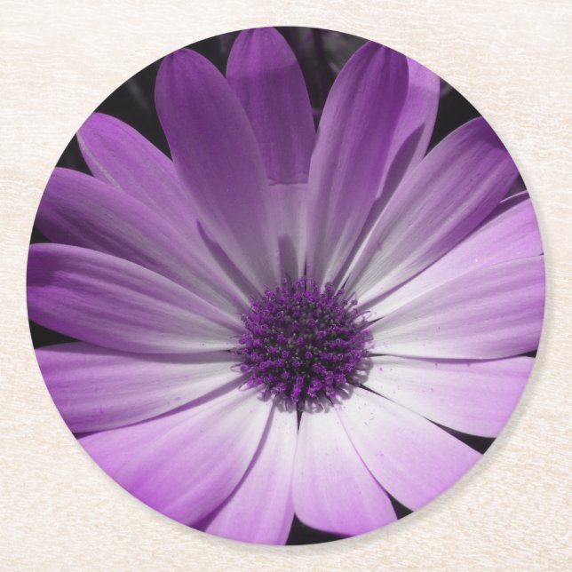 Posavasos de papel de flor de margarita morada (Anverso)