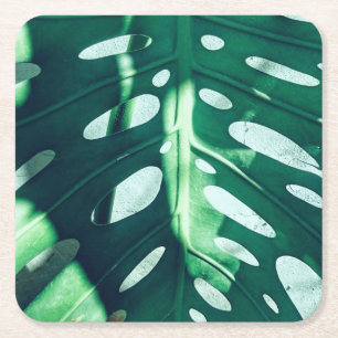 Posavasos de papel de hoja de palma verde elegante