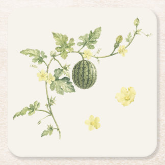 Posavasos de papel de vid de sandía botánica