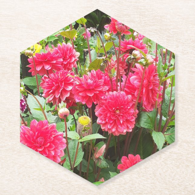 Posavasos De Papel Deep Pink Dahlias (Anverso)