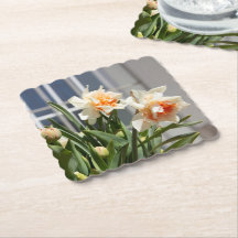 Delicada primavera de daffodils tiernos