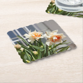 Posavasos De Papel Delicada primavera de daffodils tiernos