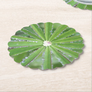 Posavasos De Papel Dewdrop