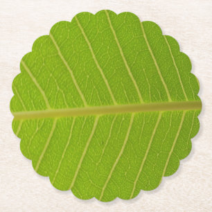 Posavasos De Papel Diseño de hojas verdes naturales y líneas amarilla