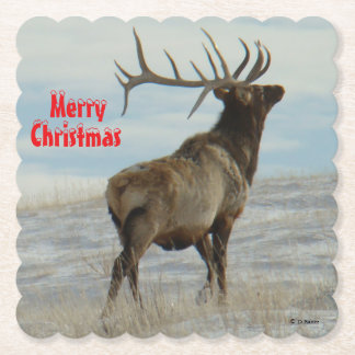 Posavasos De Papel E58 Big Bull Elk Lucky 13 Coaster