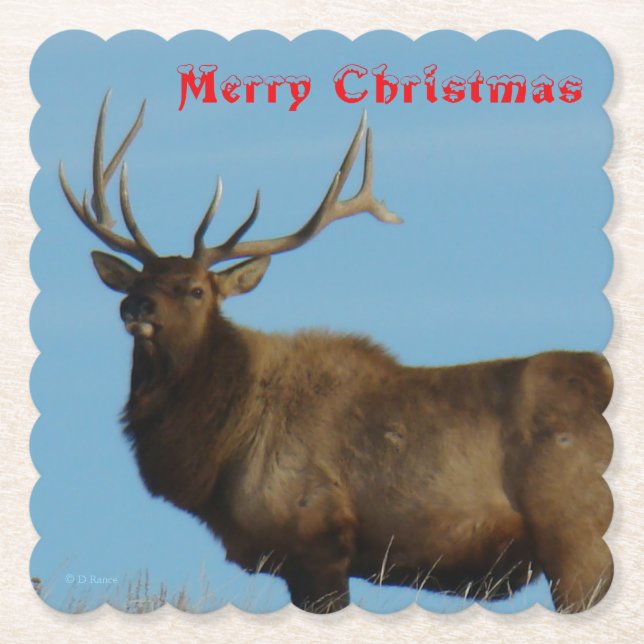 Posavasos De Papel E62 Bull Elk and Blue Sky Coaster (Anverso)