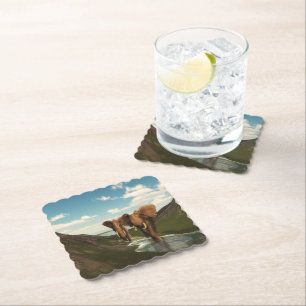 Posavasos De Papel Elefante