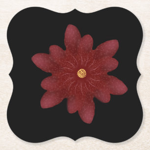 Posavasos De Papel Elegante Flor de Terciopelo Rojo sobre Negro   Flo