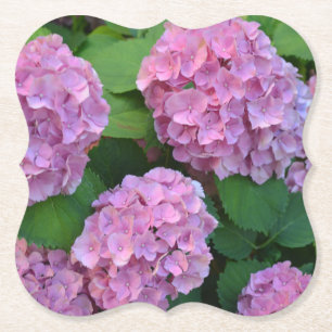 Posavasos De Papel Fiesta Hortensia hidrangea rosa