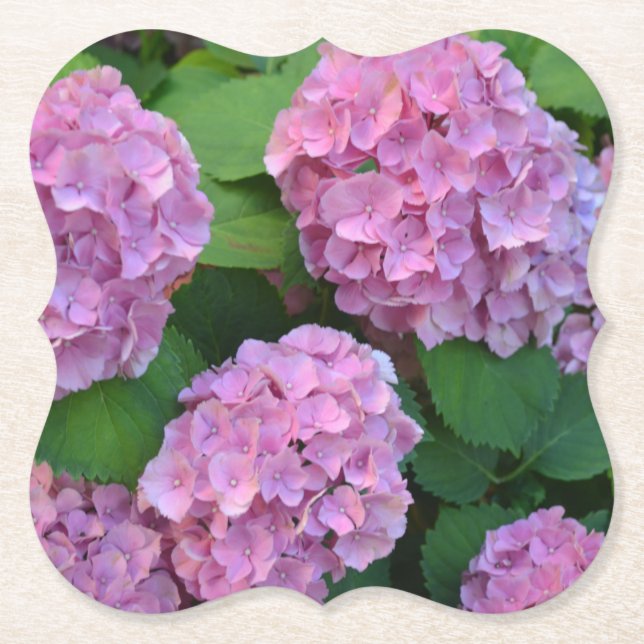 Posavasos De Papel Fiesta Hortensia hidrangea rosa (Anverso)