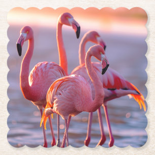 Posavasos De Papel Flamencos rosados tropicales hermosos