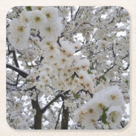 Posavasos de papel Flor de Nieve 