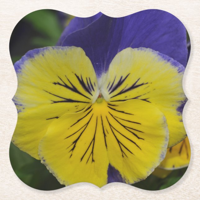 Posavasos De Papel Flor morada y amarilla (Anverso)