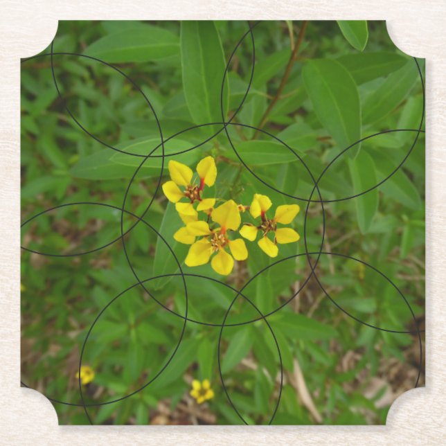 Posavasos De Papel Flores de burbujas (Anverso)