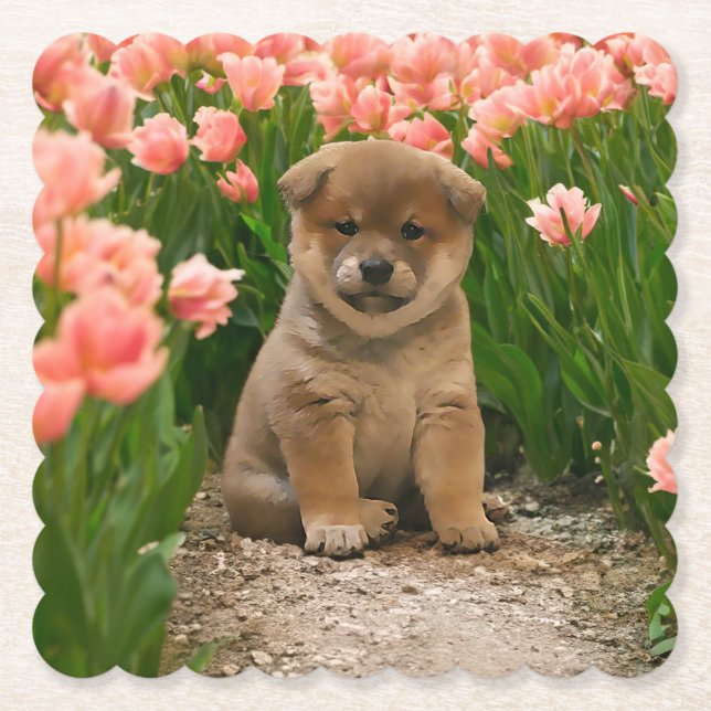 Posavasos De Papel Flores de primavera chiba inu (Anverso)