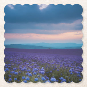 Posavasos De Papel Flores violetas