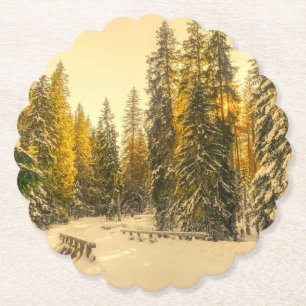 Posavasos De Papel Foto de la naturaleza forestal de los pinos cubier