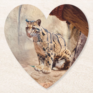 Posavasos De Papel foto de leopardo nebuloso naturaleza vida silvestr