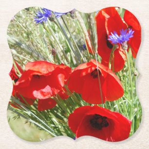 Posavasos De Papel Fotografía de Red Poppy, Cottage Garden