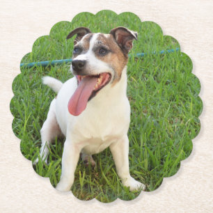 Posavasos De Papel Fox Terrier, Tongue En La Queja,