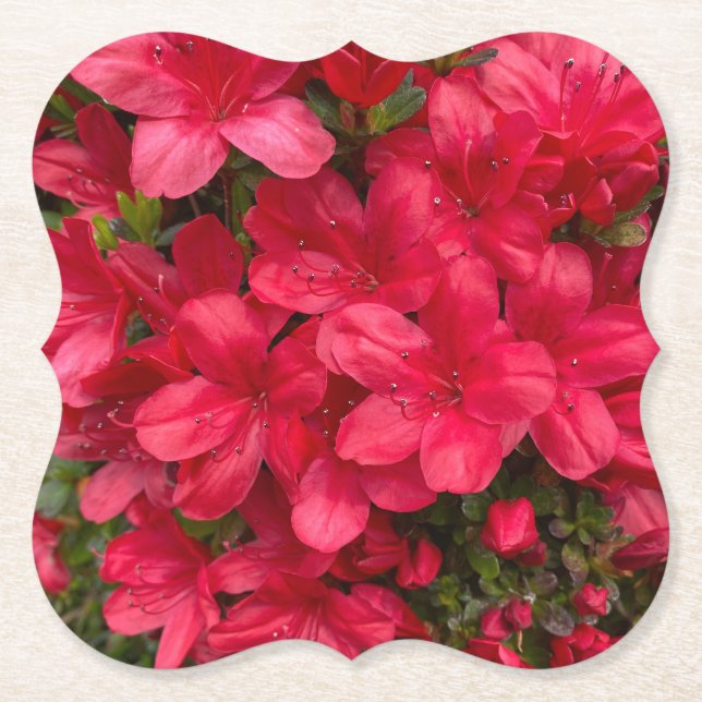 Posavasos De Papel Fresca escayola de flores (Anverso)