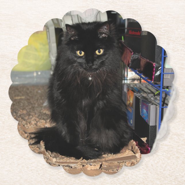 Posavasos De Papel Gato (Anverso)