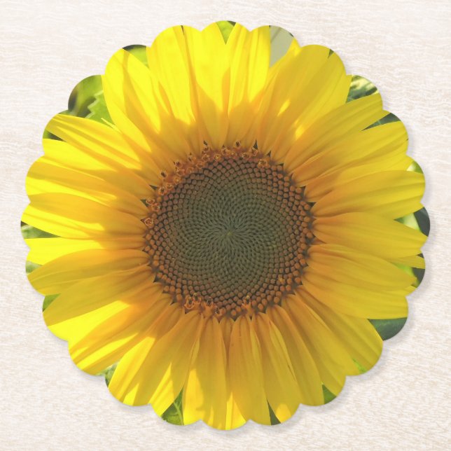 Posavasos De Papel Glow del girasol (Anverso)