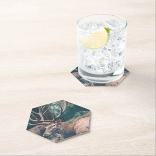 Posavasos De Papel Gran ciervo negro con grandes pollas