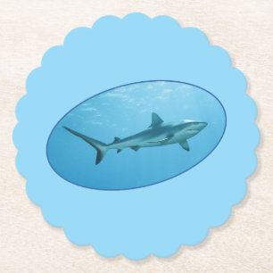 Posavasos De Papel Gray Reefshark, Yap Island - Diseño fotográfico