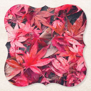 Posavasos De Papel Hojas rojas de otoño