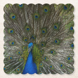 Posavasos De Papel Kauai Peacock