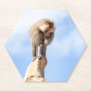 Posavasos De Papel Mandrill en la cima de una montaña