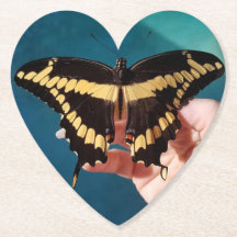 Mariposa cola de golondrina gigante