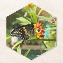 Posavasos De Papel Mariposa de cola cruda negra #2