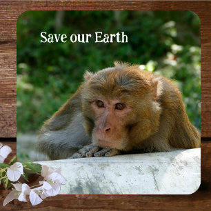 Posavasos De Papel Mono - Abuelo