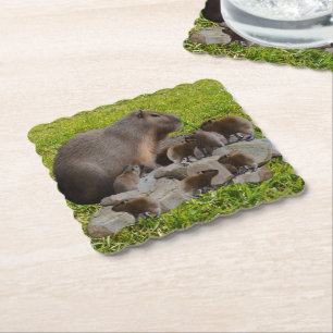 Posavasos De Papel Mummy Y Baby Capybaras,