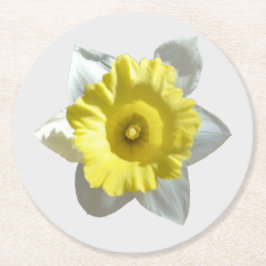 Posavasos de papel Narciso Blanco
