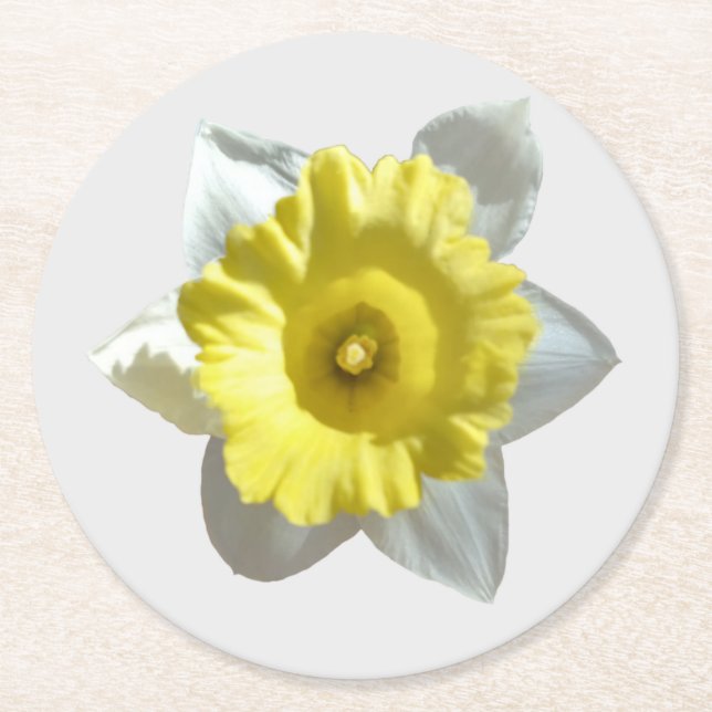 Posavasos de papel Narciso Blanco (Anverso)