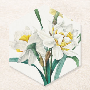 Posavasos De Papel Narciso doble, Pierre-Joseph Redouté, 1827