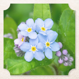 Posavasos De Papel Olvídenme, papelera