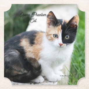 Posavasos De Papel Opera Gato fantasma