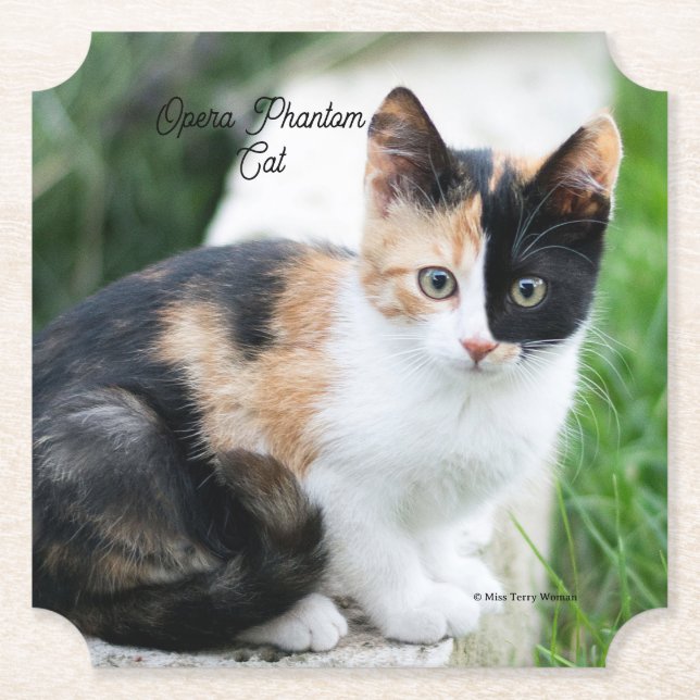 Posavasos De Papel Opera Gato fantasma (Anverso)