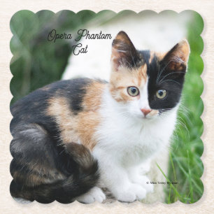 Posavasos De Papel Opera Gato fantasma