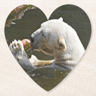 Posavasos De Papel Oso Polar Comiendo Frutas Captura