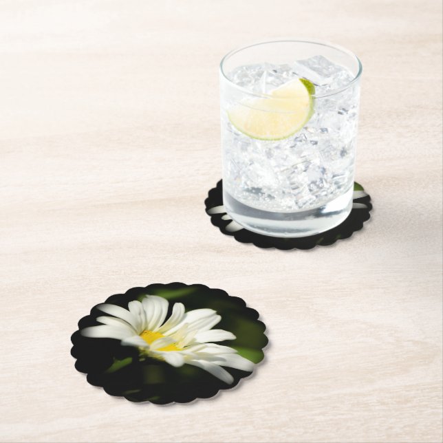 Posavasos De Papel Oxeye Daisy Coasters (In situ)